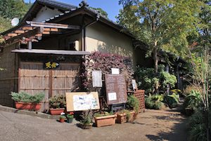 椎茸狩りの関東と関西のおすすめな山やスポットは 日帰りでいける